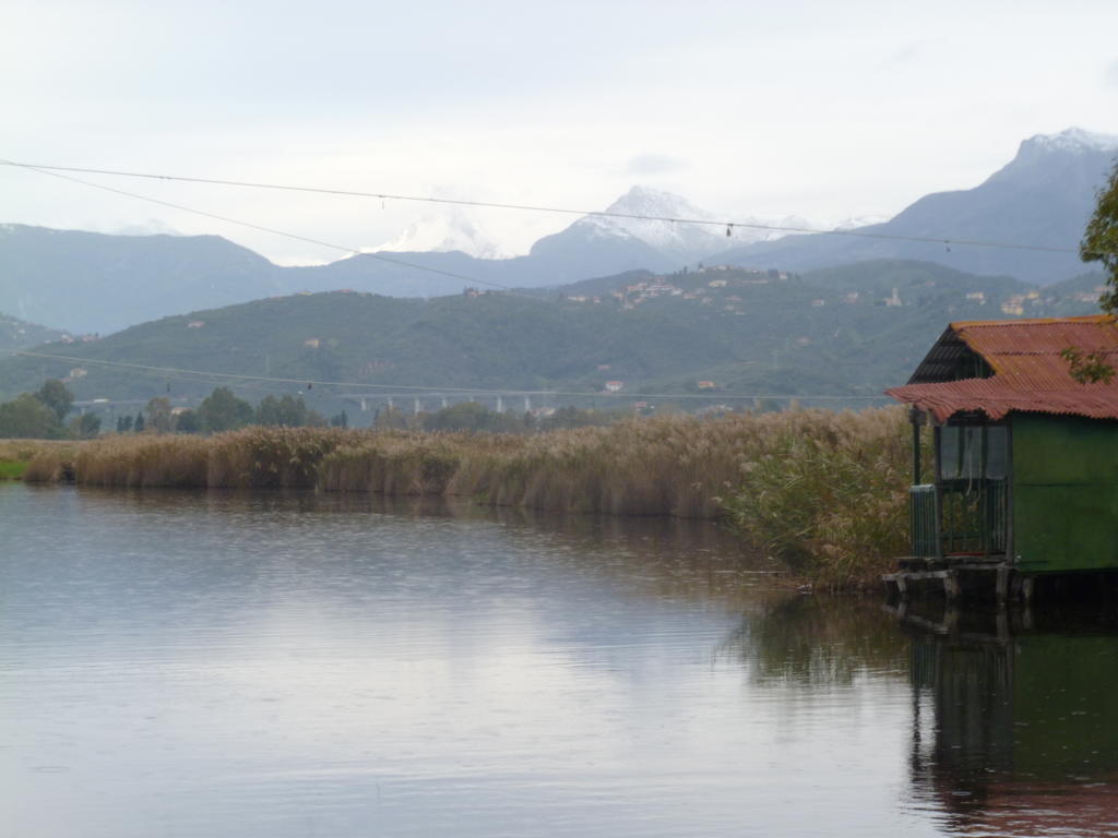 Le Ginestre B & B Massarosa Εξωτερικό φωτογραφία